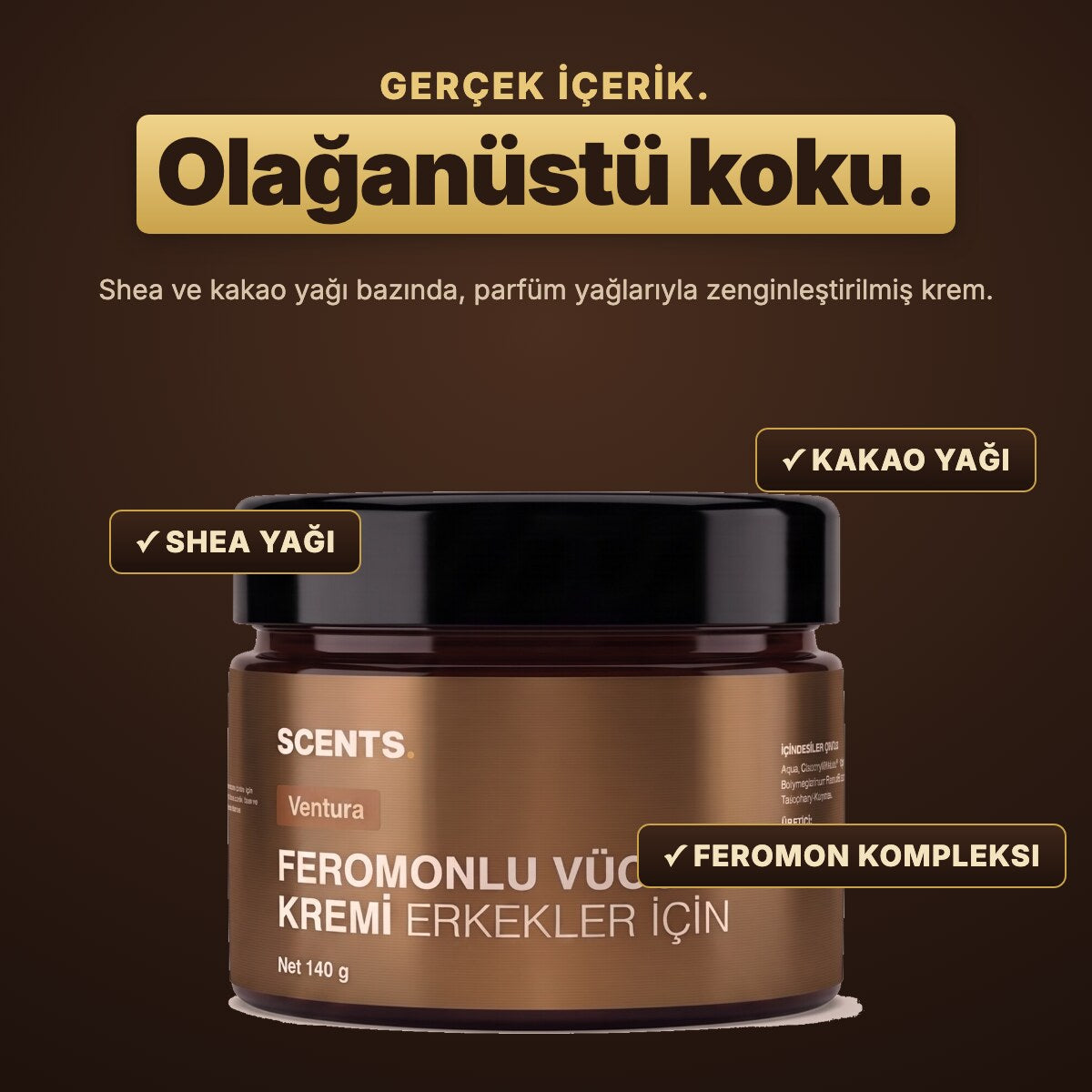 SCENTS Ventura · içerik